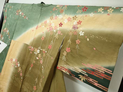平和屋着物●訪問着　エ霞草花文　暈し染め　金彩　ロング丈　正絹　逸品　DABI2313ud