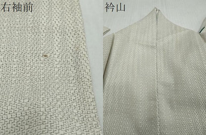 平和屋着物●本塩沢　110亀甲　霞文　正絹　逸品　DABI2380ud