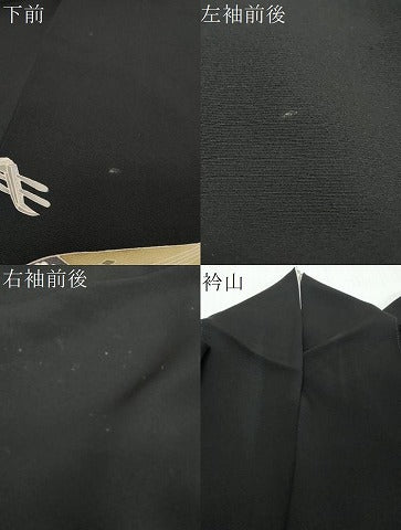 平和屋着物●豪華黒留袖　友禅　作家物　女人楽器花文　正絹　逸品　DABI2401ud