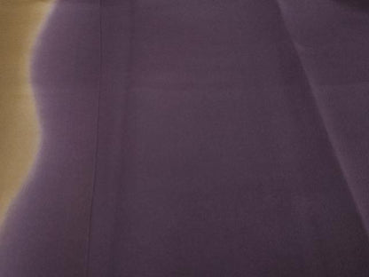 平和屋着物●訪問着　霞文　暈し染め　鬼しぼ縮緬　正絹　逸品　DABI2420ud