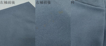 平和屋着物●江戸小紋　作家物　草木染　鮫小紋柄　正絹　逸品　DABI2425ud