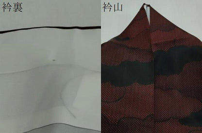 平和屋着物●洗える最高級着物　＜英＞はなぶさ謹製　小紋　雲取り文　洗える着物　DABI2456ud