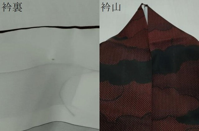 平和屋着物●洗える最高級着物　＜英＞はなぶさ謹製　小紋　雲取り文　洗える着物　DABI2456ud