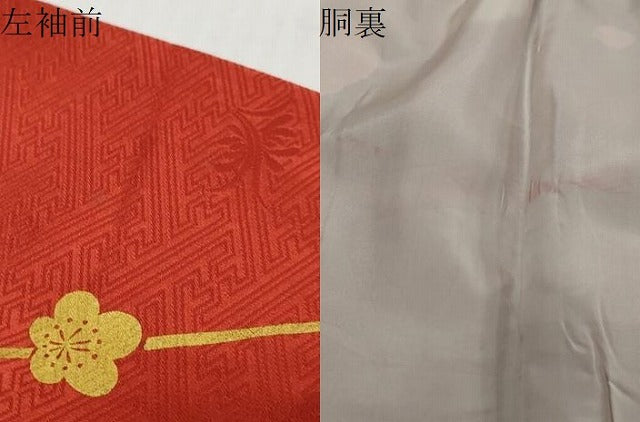 平和屋着物●豪華振袖　絞り　枝梅文　金彩　正絹　逸品　DABI2503ud