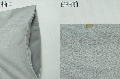 平和屋着物●訪問着　流水風景草花文　暈し染め　金彩　正絹　逸品　DABI2506ud