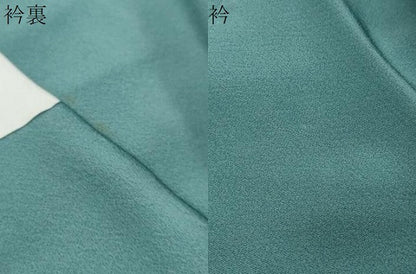 平和屋着物●訪問着　駒刺繍　草花文　暈し染め　ロング丈　正絹　逸品　DABI2508ud