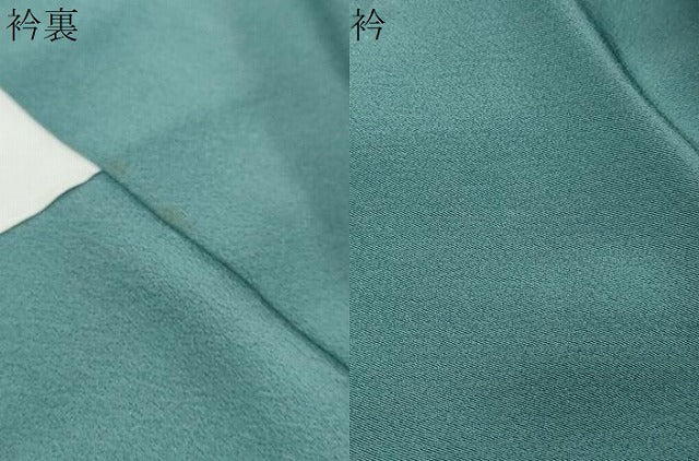 平和屋着物●訪問着　駒刺繍　草花文　暈し染め　ロング丈　正絹　逸品　DABI2508ud