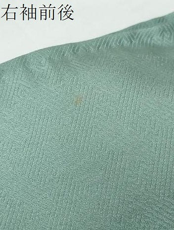 平和屋着物●訪問着　雪輪花蝶文　暈し染め　金彩　ロング丈　正絹　逸品　DABI2511ud