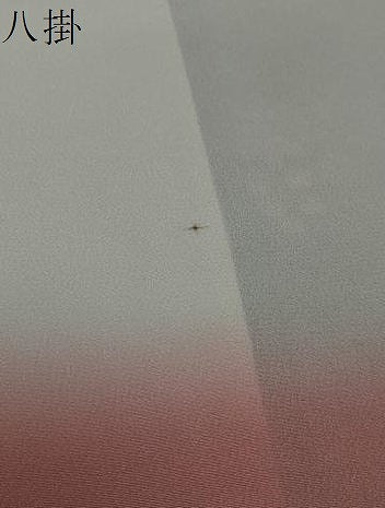 平和屋着物●上質な小紋　印度更紗ロード　サフラン染　草花文　証紙付き　正絹　逸品　DABI2547ud