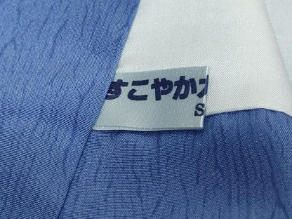 平和屋着物●豪華振袖　水晶染　熨斗草花文　金彩　銀通し地　正絹　逸品　DABI2585ud