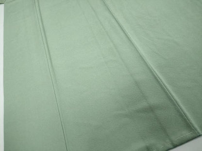 平和屋着物●上質な色無地　夏虫色　正絹　逸品　未使用　DABI2735ud
