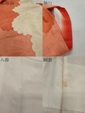 平和屋着物●上質な小紋　地紋起こし　花尽くし文　正絹　逸品　DABI2740ud