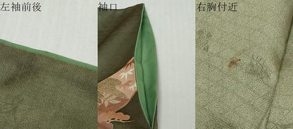 平和屋着物●訪問着　駒刺繍　花蝶文　金彩　正絹　逸品　DABI2755ud