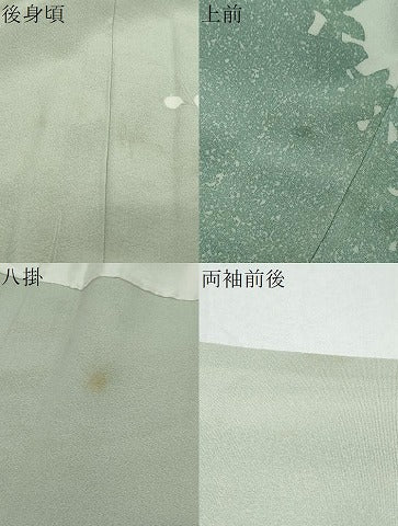 平和屋着物●訪問着　友禅　枝花文　シルエット　正絹　逸品　DABI2824ud