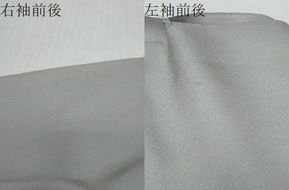 平和屋着物●訪問着　草花文　暈し染め　金銀彩　仮絵羽　正絹　逸品　未使用　DABI2871ud