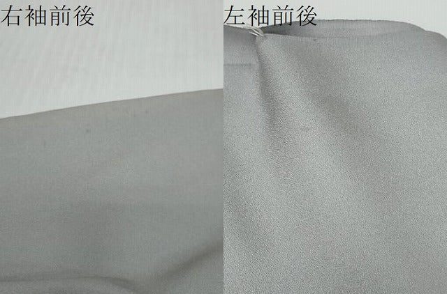 平和屋着物●訪問着　草花文　暈し染め　金銀彩　仮絵羽　正絹　逸品　未使用　DABI2871ud