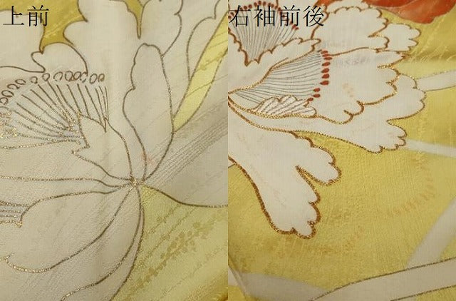 平和屋着物●訪問着　駒刺繍　舞花文　金彩　正絹　逸品　DABI2875ud