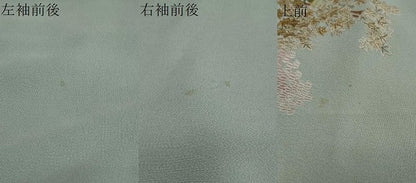 平和屋着物●豪華色留袖　総刺繍　風景草花文　金糸　正絹　逸品　DABI2910ud