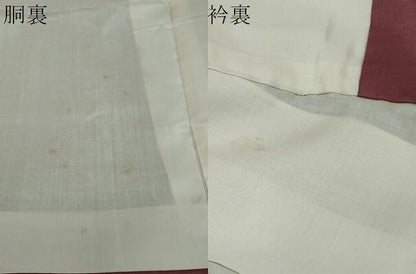 平和屋着物●本場大島紬　龍郷絣　花菱文　正絹　逸品　DABI2919ud