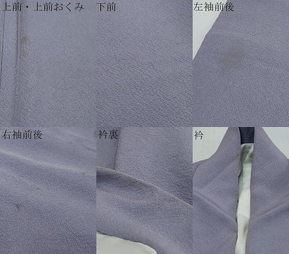 平和屋着物●世界的人形師　辻村寿三郎　ジュサブロー　訪問着　舞桜文　金彩　正絹　逸品　DABI2925ud