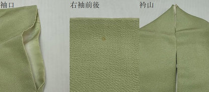 平和屋着物●訪問着　総刺繍　草花文　金糸　鬼しぼ縮緬　正絹　逸品　DABI2930ud