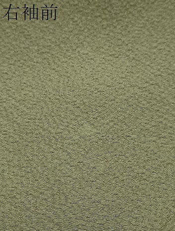 平和屋着物●豪華色留袖　総刺繍　洋花文　金銀糸　正絹　逸品　未使用　DABI2952ud