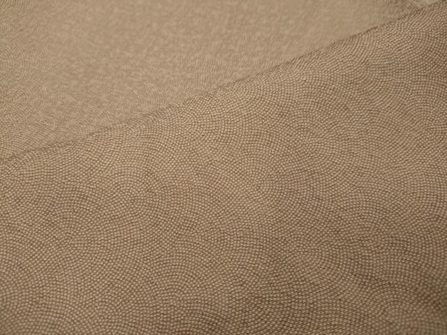 平和屋着物●江戸小紋　草木染　鮫小紋柄　反端付き　正絹　逸品　DABI2981ud