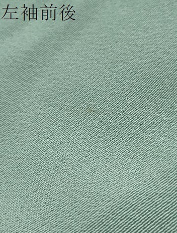 平和屋着物●訪問着　紫陽花　暈し染め　正絹　逸品　DABI2993ud
