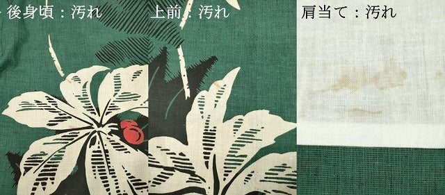 平和屋着物∴夏物　浴衣　草葉文　綿　逸品　DABI3017cd