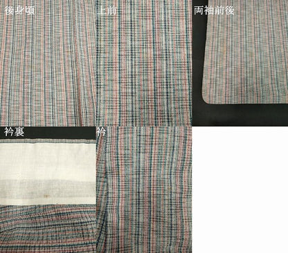 平和屋着物∴夏物　阿波しじら織　浴衣　間道　綿　逸品　DABI3427cd