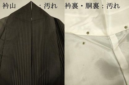 平和屋着物■本場縞大島紬　間道　正絹　逸品　DABI3532ya