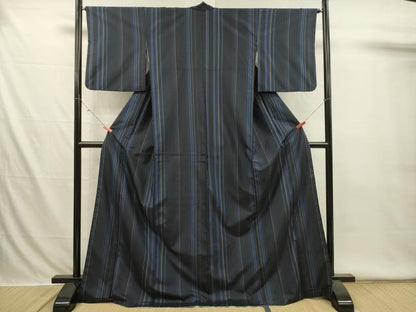 平和屋着物■本場縞大島紬　間道　正絹　逸品　DABI3540ya