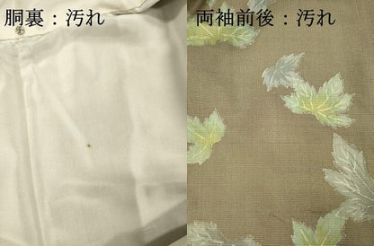 平和屋着物■上質な紬　舞葉文　正絹　逸品　DABI3575ya