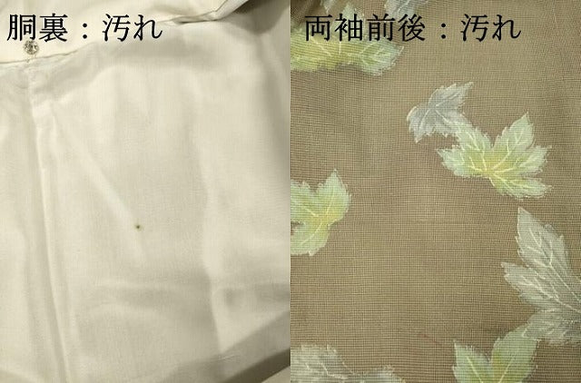 平和屋着物■上質な紬　舞葉文　正絹　逸品　DABI3575ya
