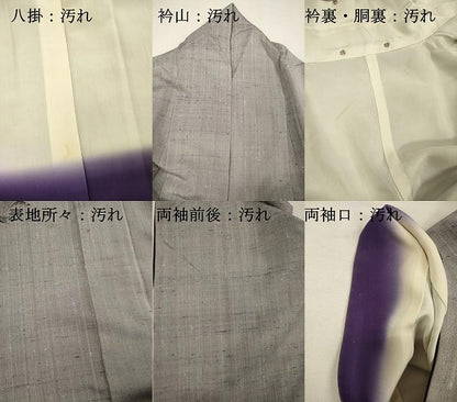 平和屋着物■色留訪問着　作家物　紬地　手描き　風景文　正絹　逸品　DABI3581ya