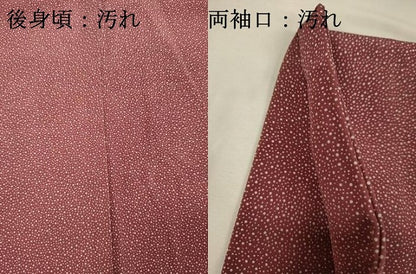 平和屋着物■江戸小紋　訪問着　霞文　大小あられ　暈し染め　正絹　逸品　DABI3630ya
