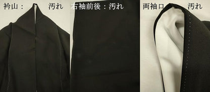 平和屋着物■豪華黒留袖　花鳥花丸文　暈し染め　金彩　正絹　逸品　DABI3674ya