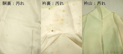 平和屋着物■訪問着　草花文　暈し染め　金彩　正絹　逸品　DABI3675ya
