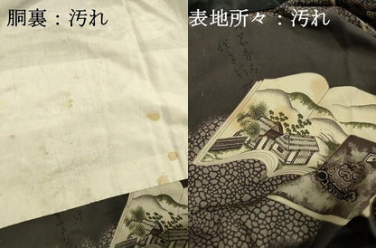 平和屋着物■男性　長襦袢　袷　冊子風景文　正絹　逸品　DABI3705ya