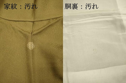 平和屋着物■豪華色留袖　花芝文　金糸　正絹　逸品　DABI3797ya
