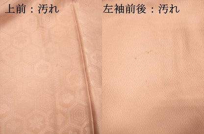 平和屋着物■色留訪問着　亀甲花文　一斤染色　正絹　逸品　DABI3803ya