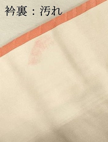 平和屋着物■豪華振袖　駒刺繍　枝花文　金彩　正絹　逸品　DABI3840ya