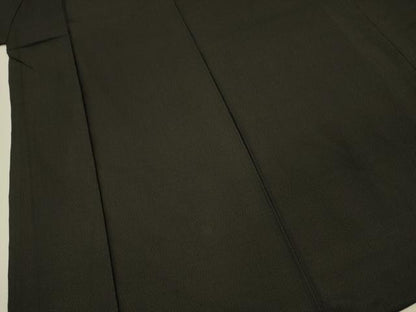 平和屋着物■男性　紬　霞文　正絹　逸品　DABI3890ya