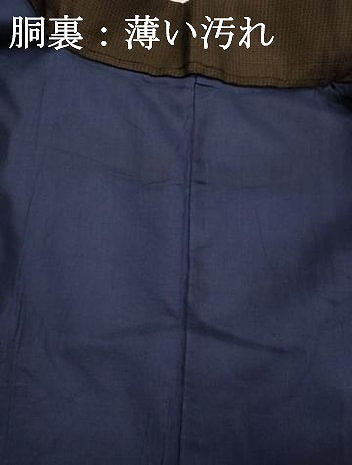 平和屋着物■男性　紬　抽象文様　正絹　逸品　DABI3893ya
