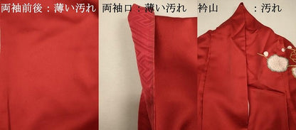 平和屋着物■豪華振袖　御所車花文　暈し染め　金銀彩　正絹　逸品　DABI3894ya