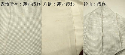 平和屋着物■江戸小紋　行儀　鬼しぼ縮緬　正絹　逸品　DABI3944ya
