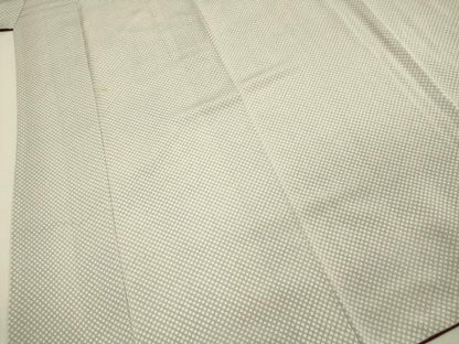 平和屋着物■江戸小紋　行儀　鬼しぼ縮緬　正絹　逸品　DABI3944ya