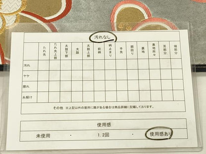 平和屋着物◎六通柄袋帯　唐織　舞花文　金銀糸　引箔　正絹　逸品　DABI3991ya