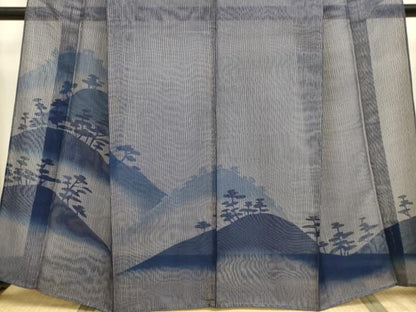平和屋着物▽訪問着　無双　紗袷　紋紗×紗　風景松文　正絹　逸品　DABI4120du