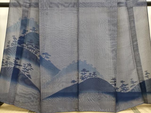 平和屋着物▽訪問着　無双　紗袷　紋紗×紗　風景松文　正絹　逸品　DABI4120du